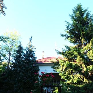 Villa Rosa11