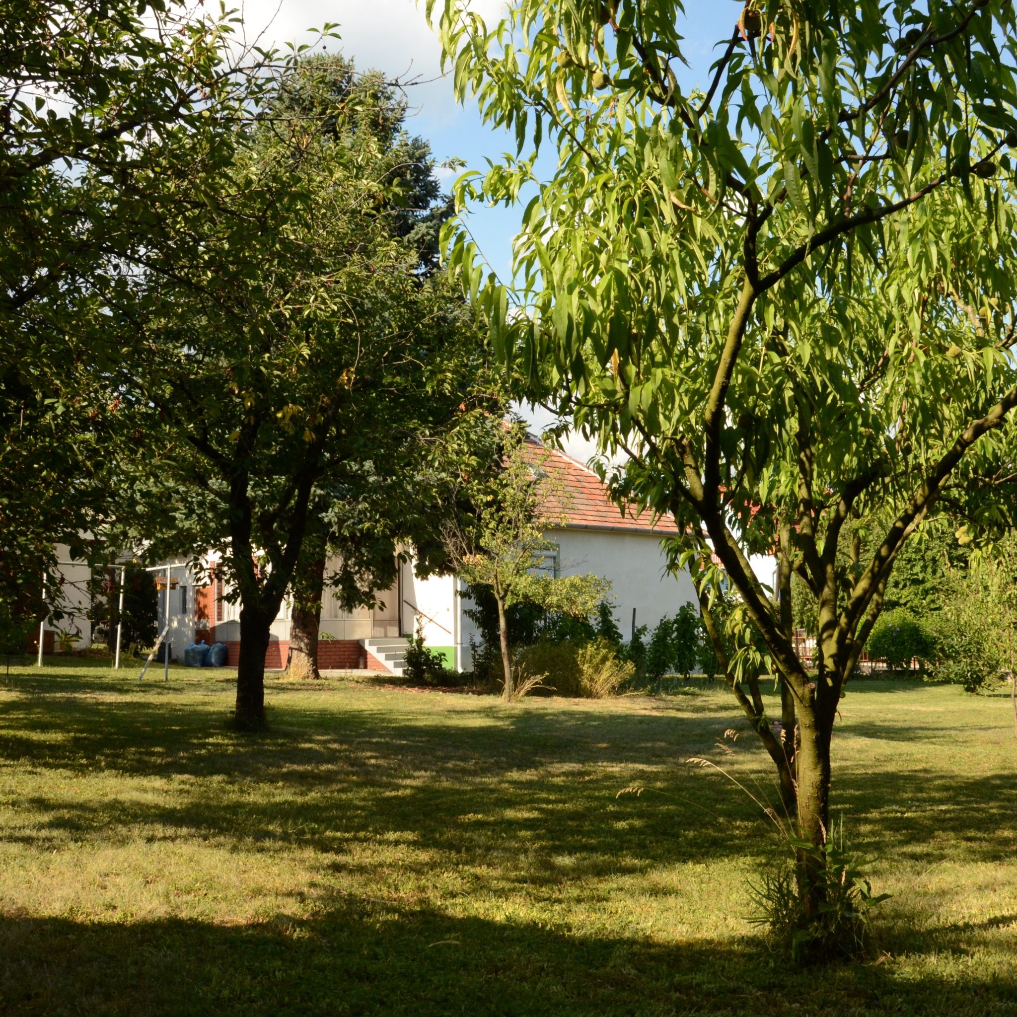 Gyümölcsöskert Vendégház – Gyenesdiás fotó 6