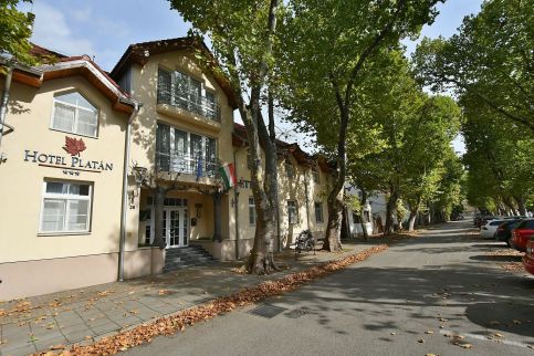 Hotel Platán Székesfehérvár7