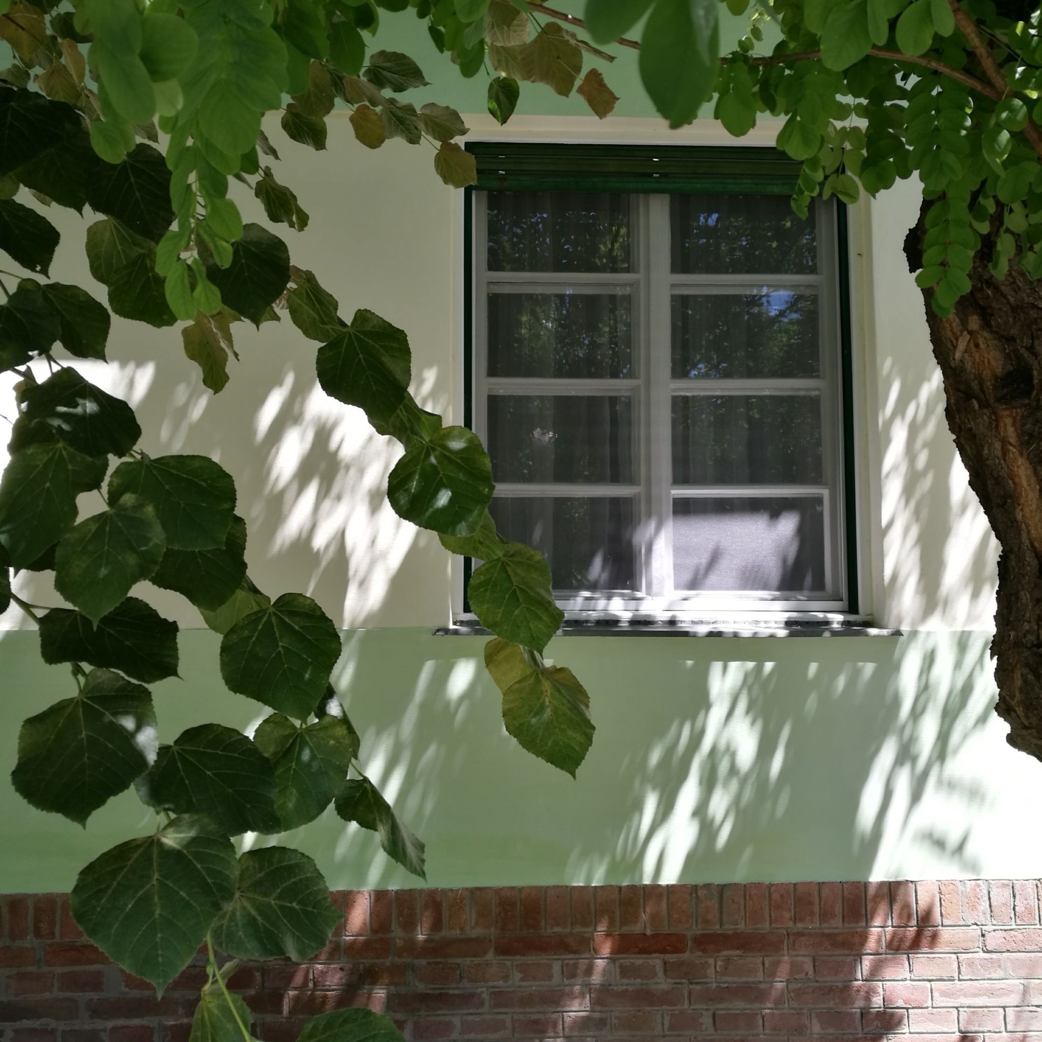 Holdfény Apartman – Gyula fotó 5