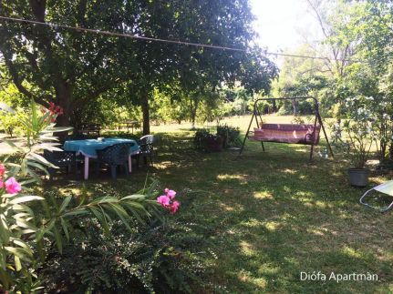 Diófa Apartman5
