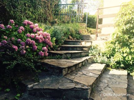 Diófa Apartman6