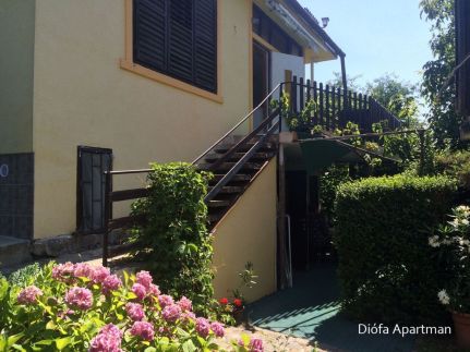 Diófa Apartman