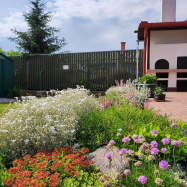 Békatutaj Vendégház