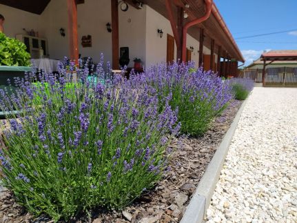 Békatutaj Vendégház31