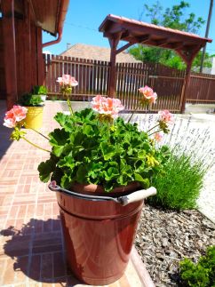 Békatutaj Vendégház32