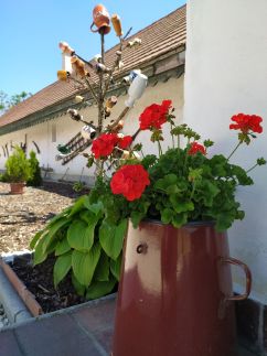 Békatutaj Vendégház34