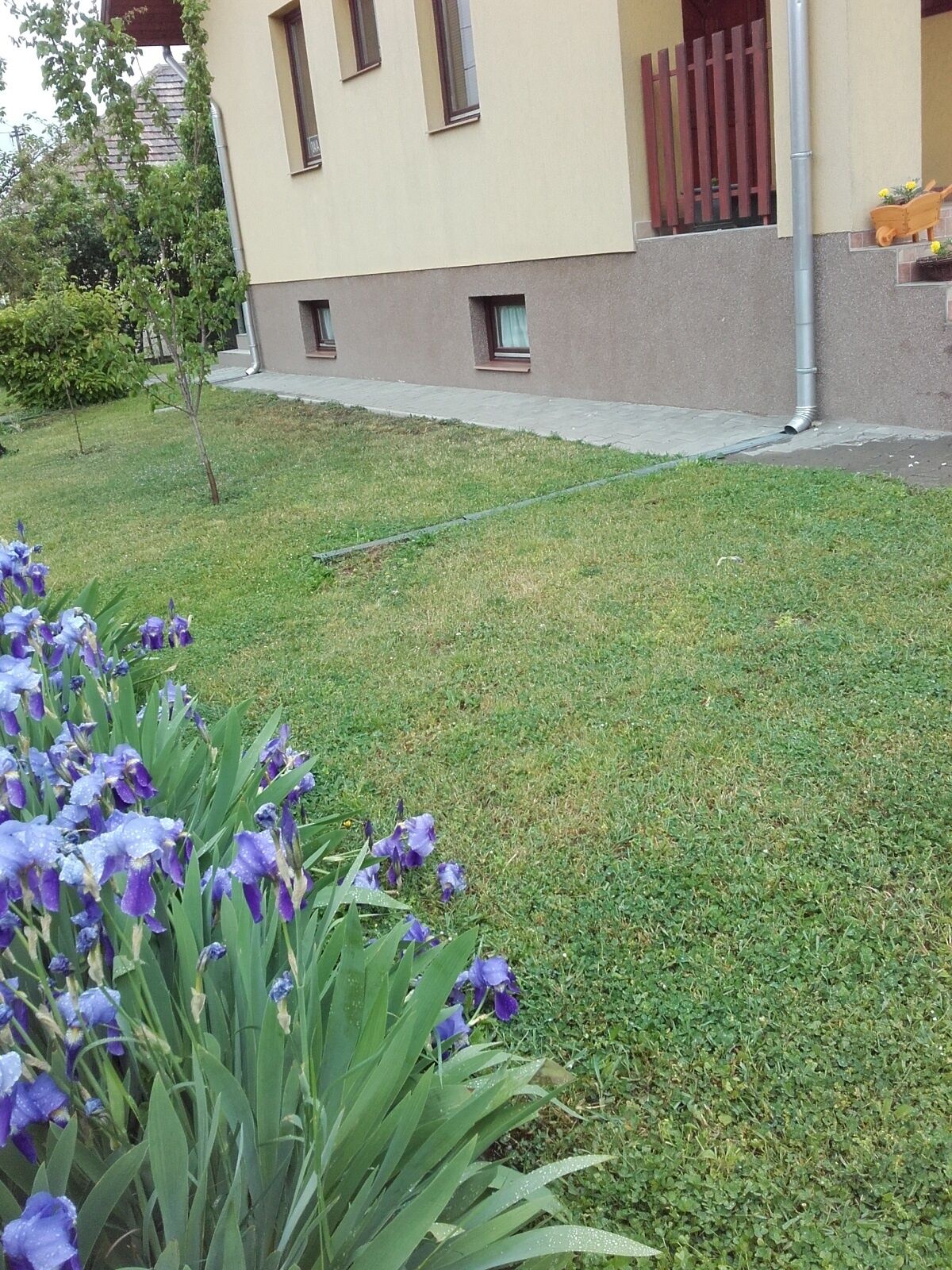 Alba Apartman Székesfehérvár – Székesfehérvár fotó 21