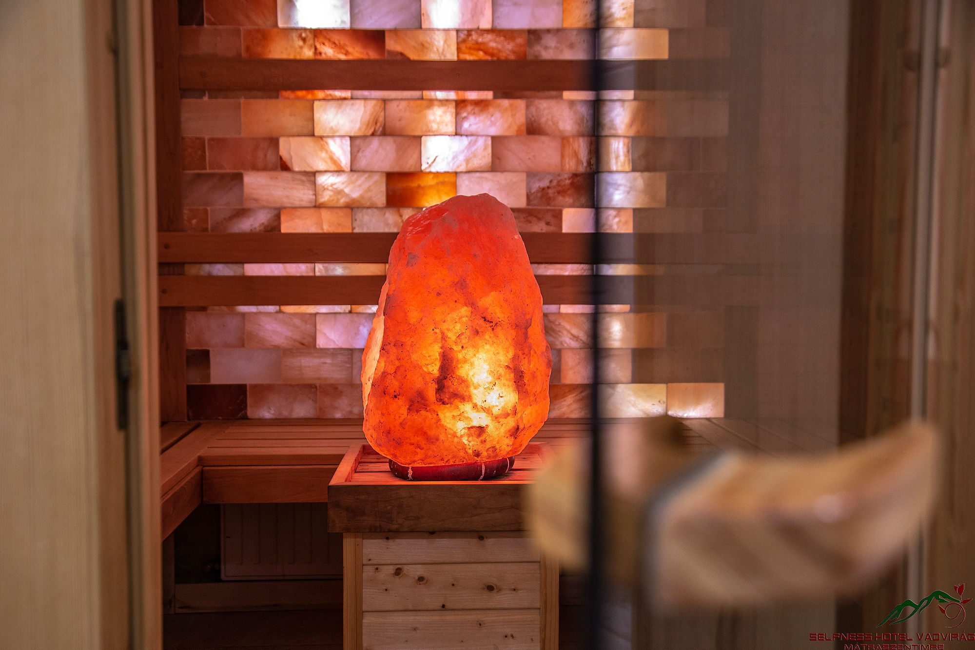 Selfness Hotel Vadvirág – Mátraszentimre fotó 29