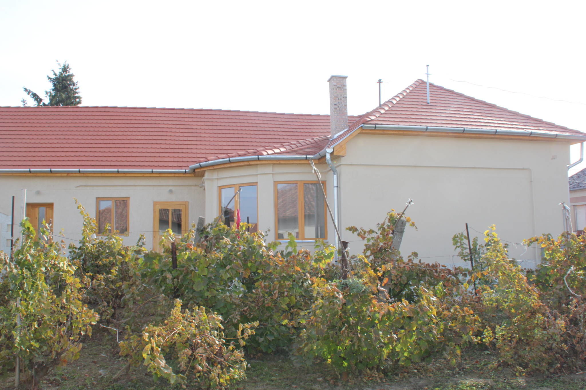 Nagy-Mandarin Vendégház – Rakamaz fotó 6