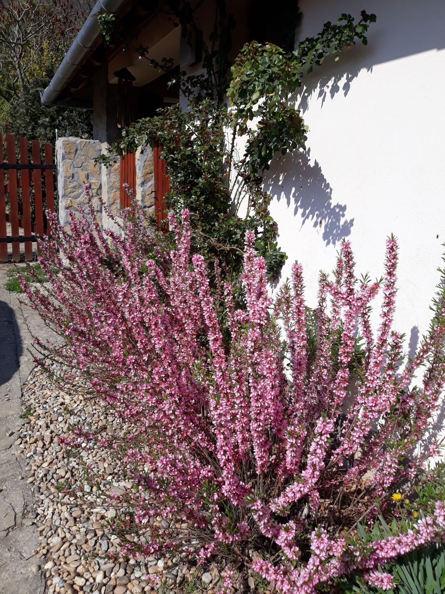 Szintai Vendégház – Szálka fotó 10