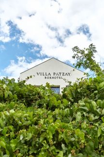 Villa Pátzay Borhotel7