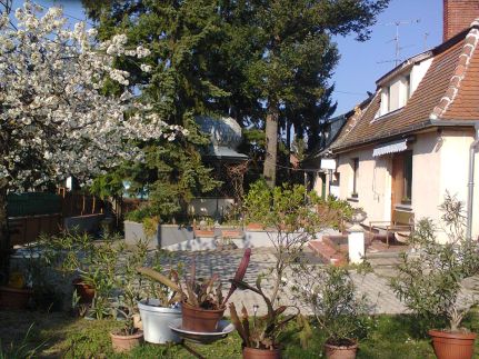 Trimmel Vendégház7