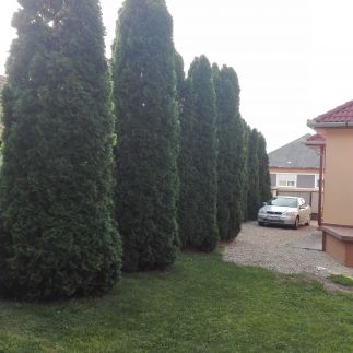 Barta Apartman14