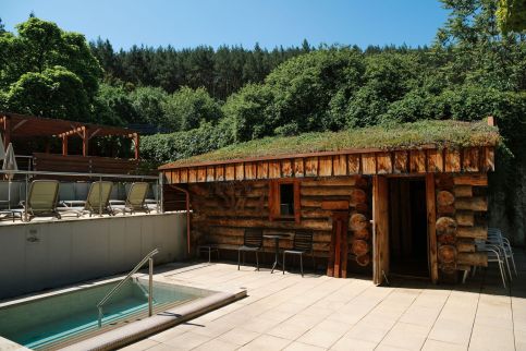 Saliris Resort Spa & Conference Hotel100