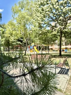 Marikalaka Apartman53