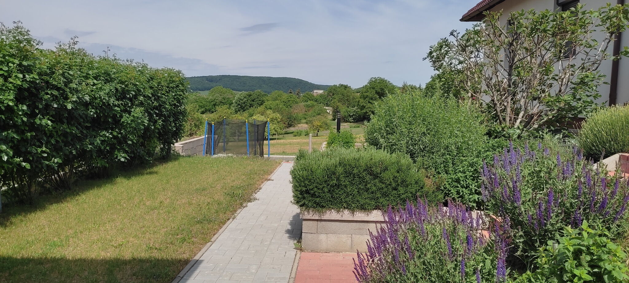 Barok 366 Vendégház – Óbarok fotó 7