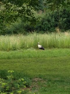 Vargánya Vendégház12