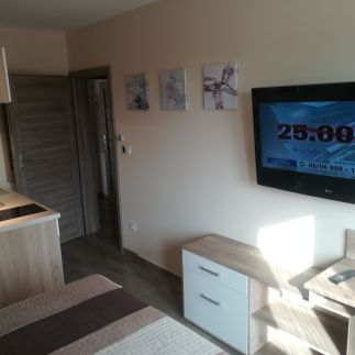 Dream Lux Apartman8