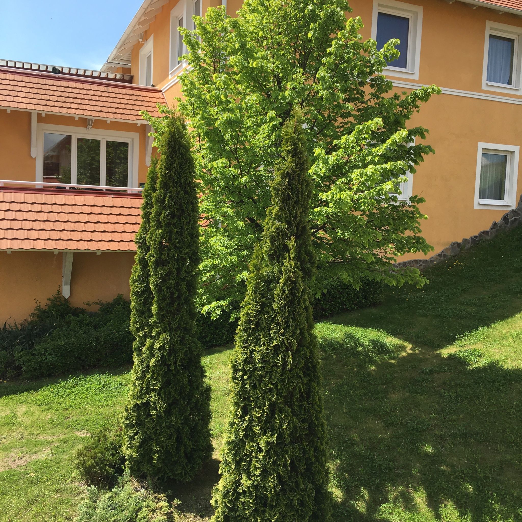 Belovai Apartman – Dunaszentmiklós fotó 3
