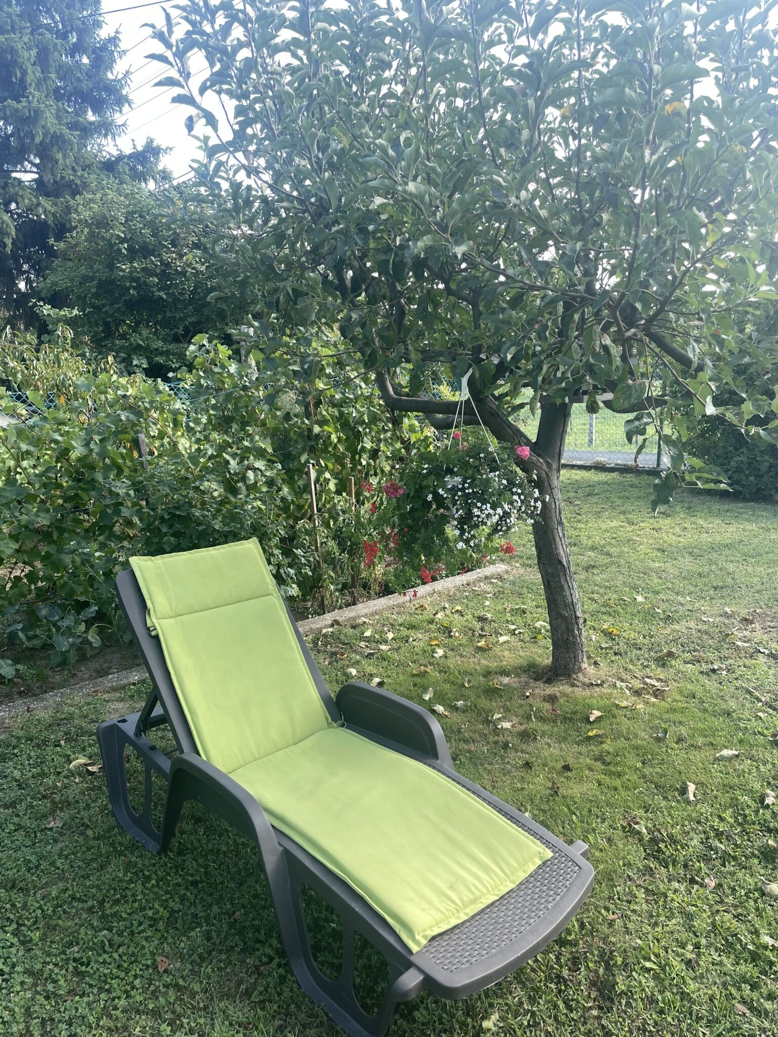 Bujtor Apartman – Badacsony fotó 14