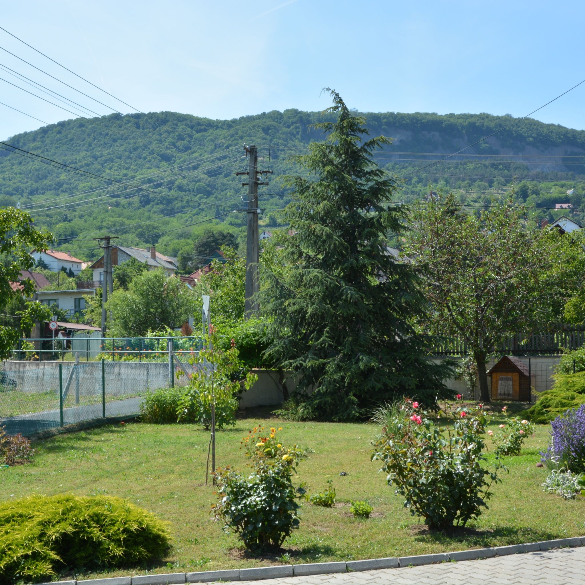 Bujtor Apartman – Badacsony fotó 2