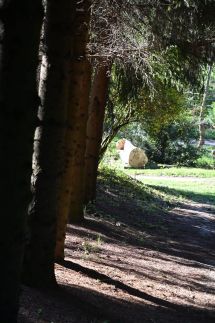 Napfény Camping34
