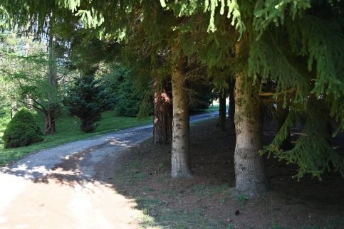 Napfény Camping38