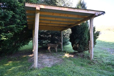 Napfény Camping39