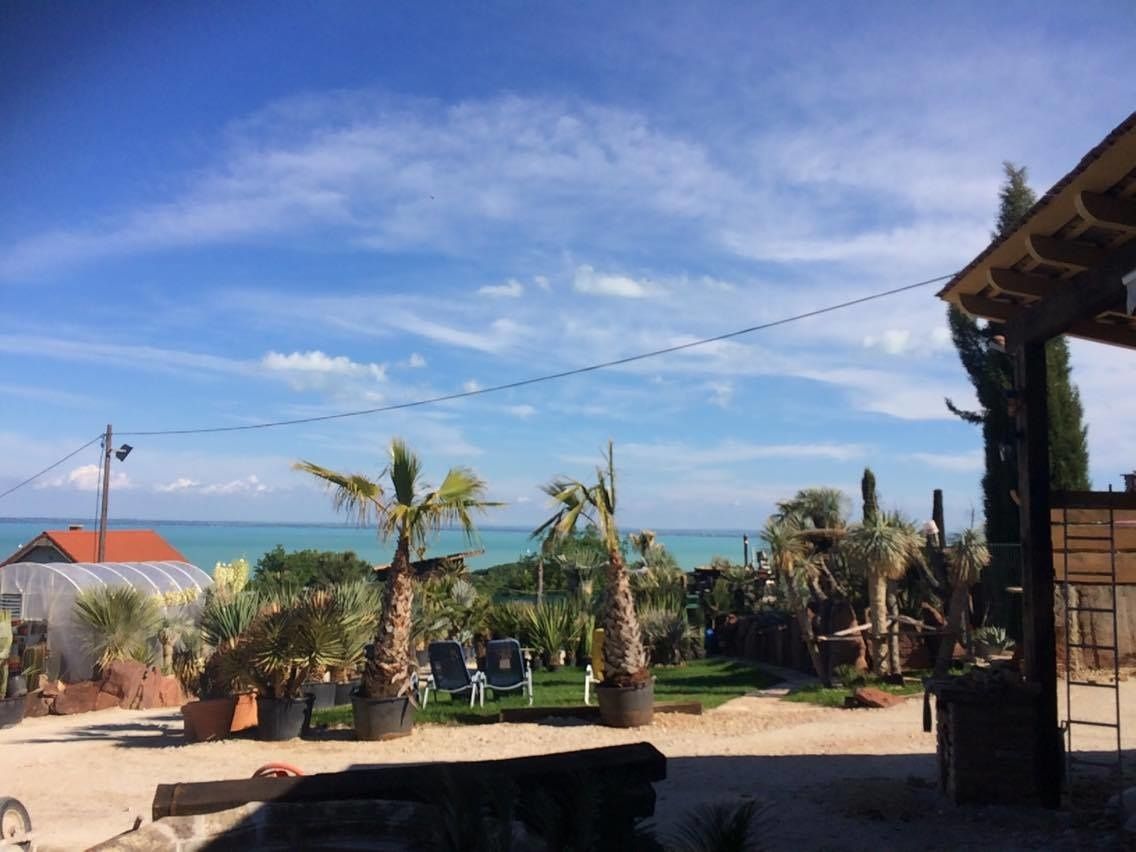 Egzotikus Kert Bungalók – Balatonalmádi fotó 1