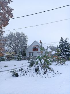 Fenyő Vendégház15
