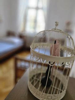 Várkerület Apartment3