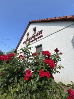 Napsugár Vendégház – Abaújkér fotó 50