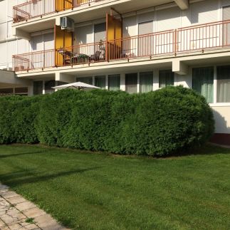 Jázmin Apartman1