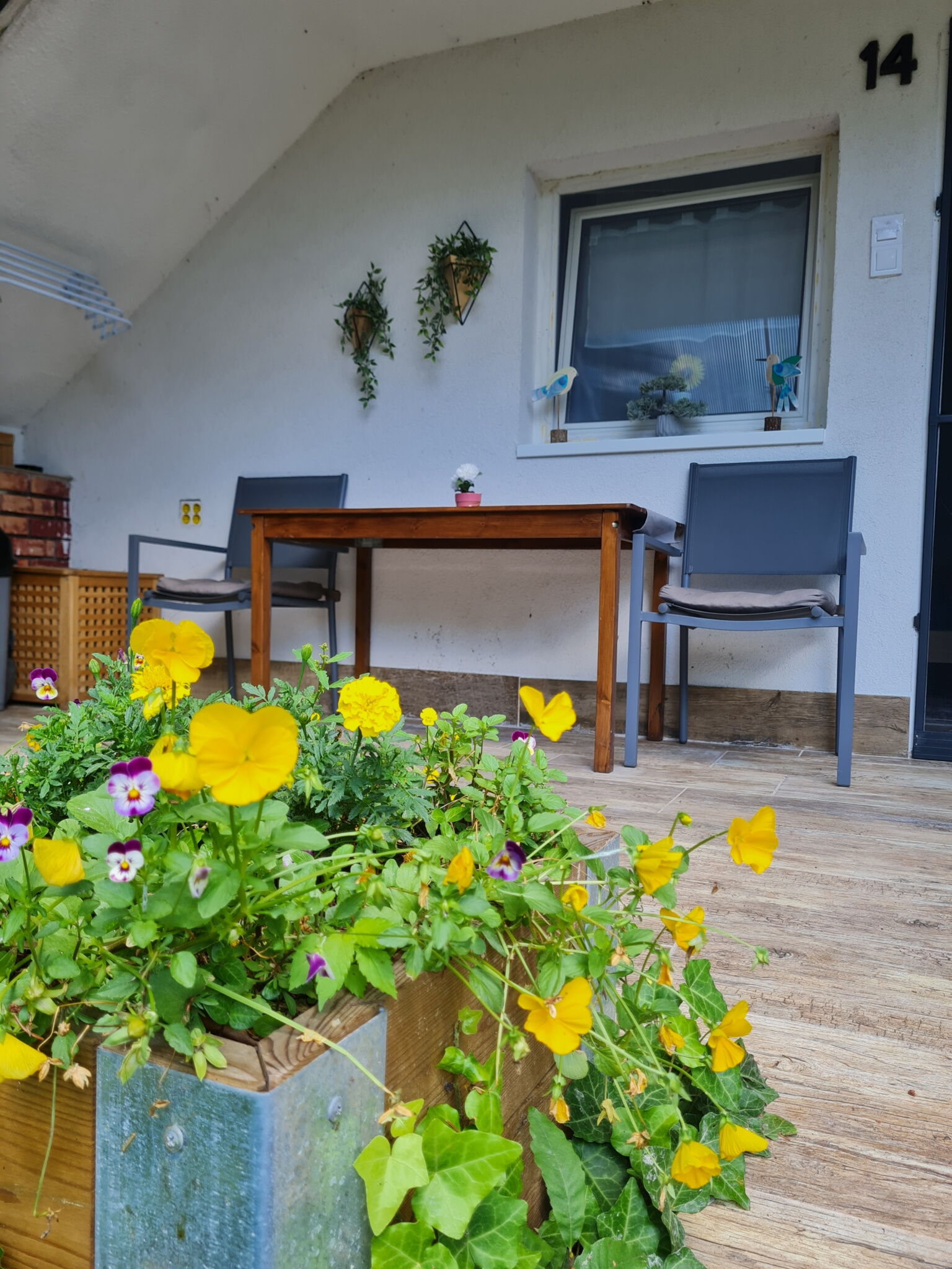 Erdei Mini Apartman – Leányfalu fotó 2
