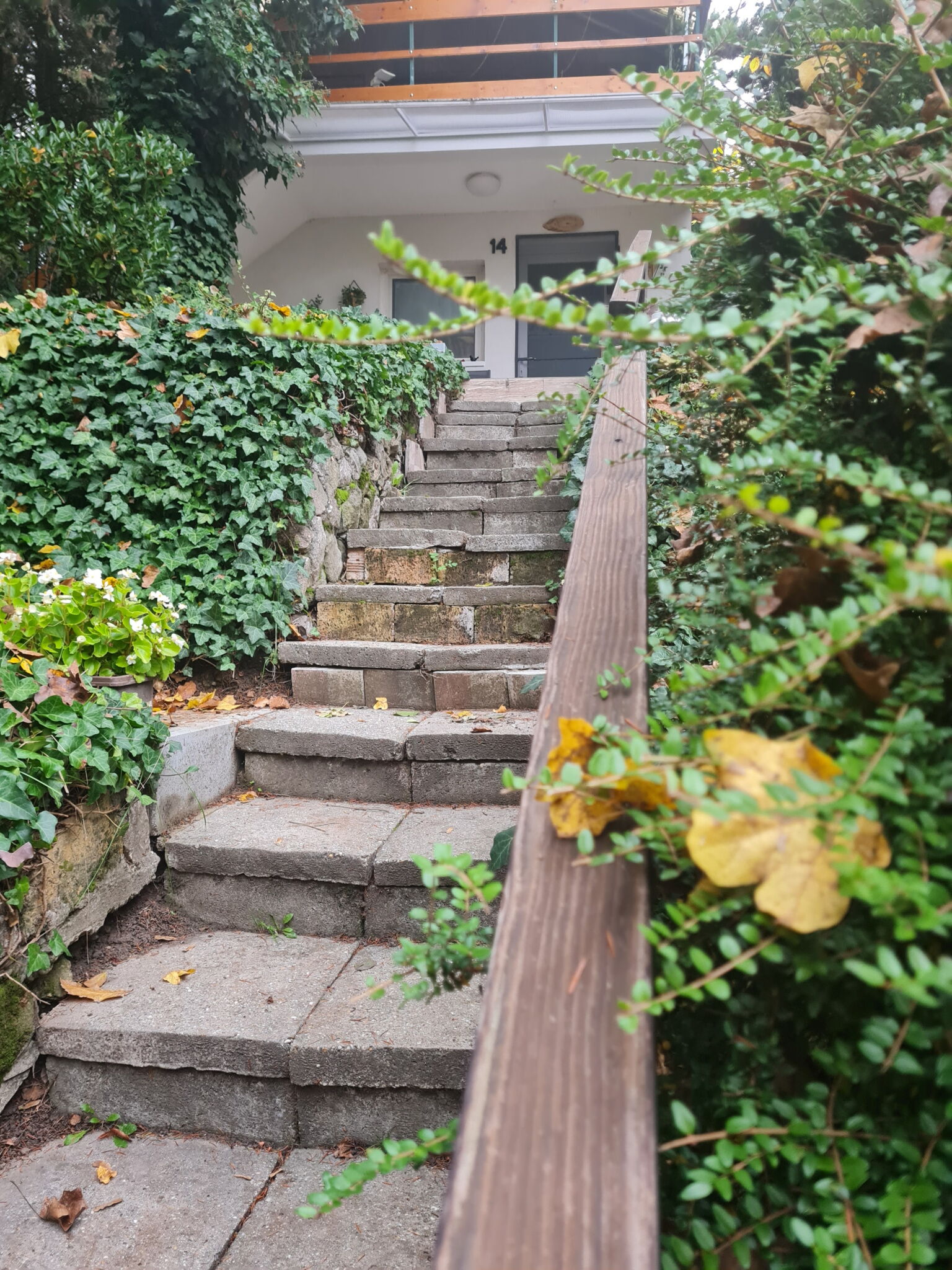 Erdei Mini Apartman – Leányfalu fotó 9