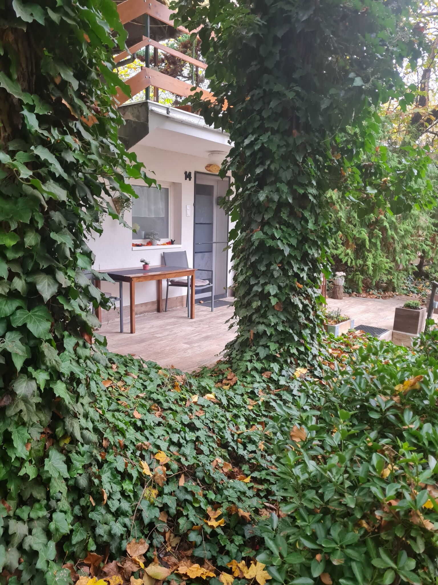 Erdei Mini Apartman – Leányfalu fotó 13