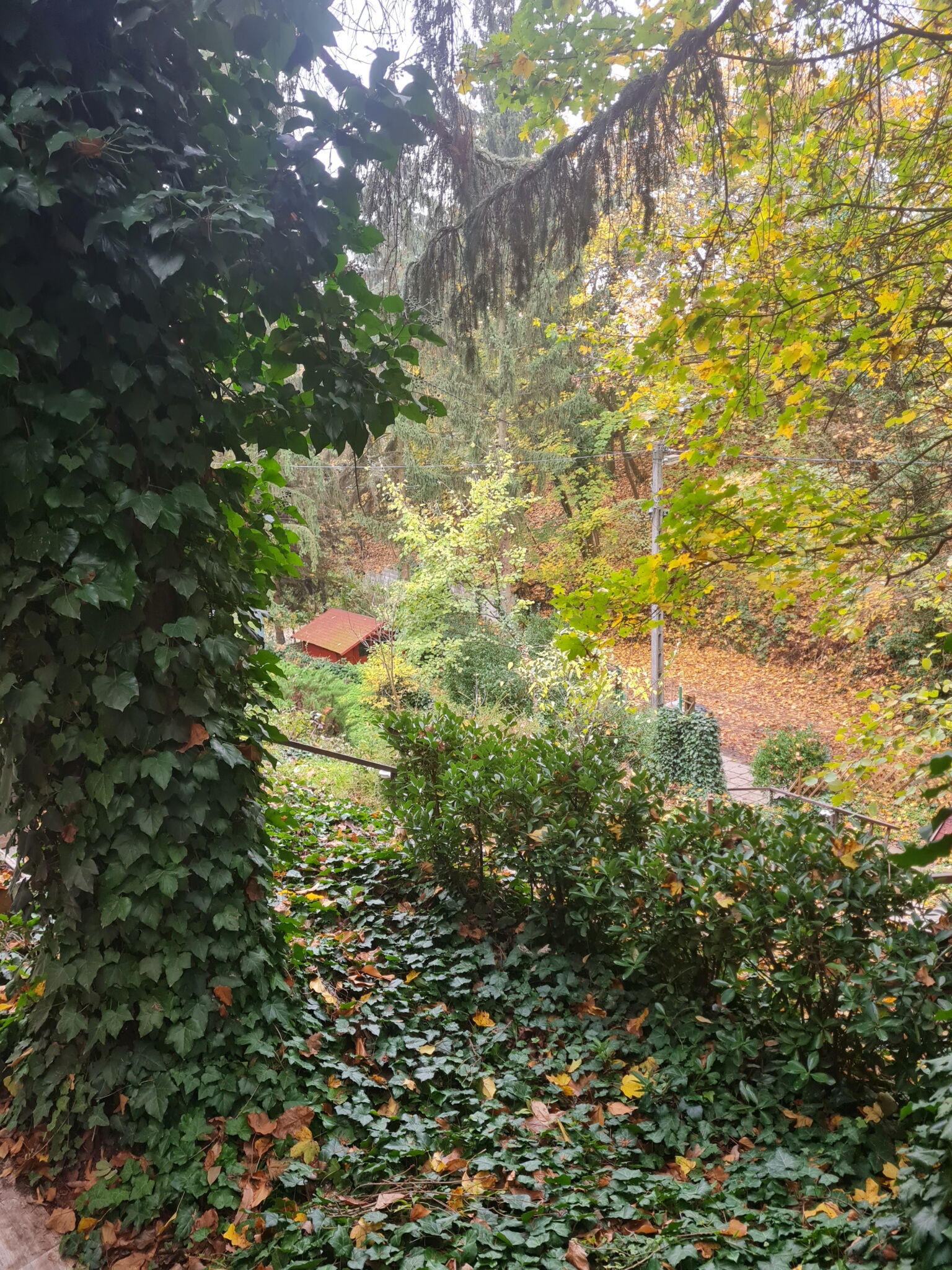 Erdei Mini Apartman – Leányfalu fotó 36