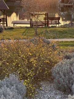 Levendula Apartmanház23