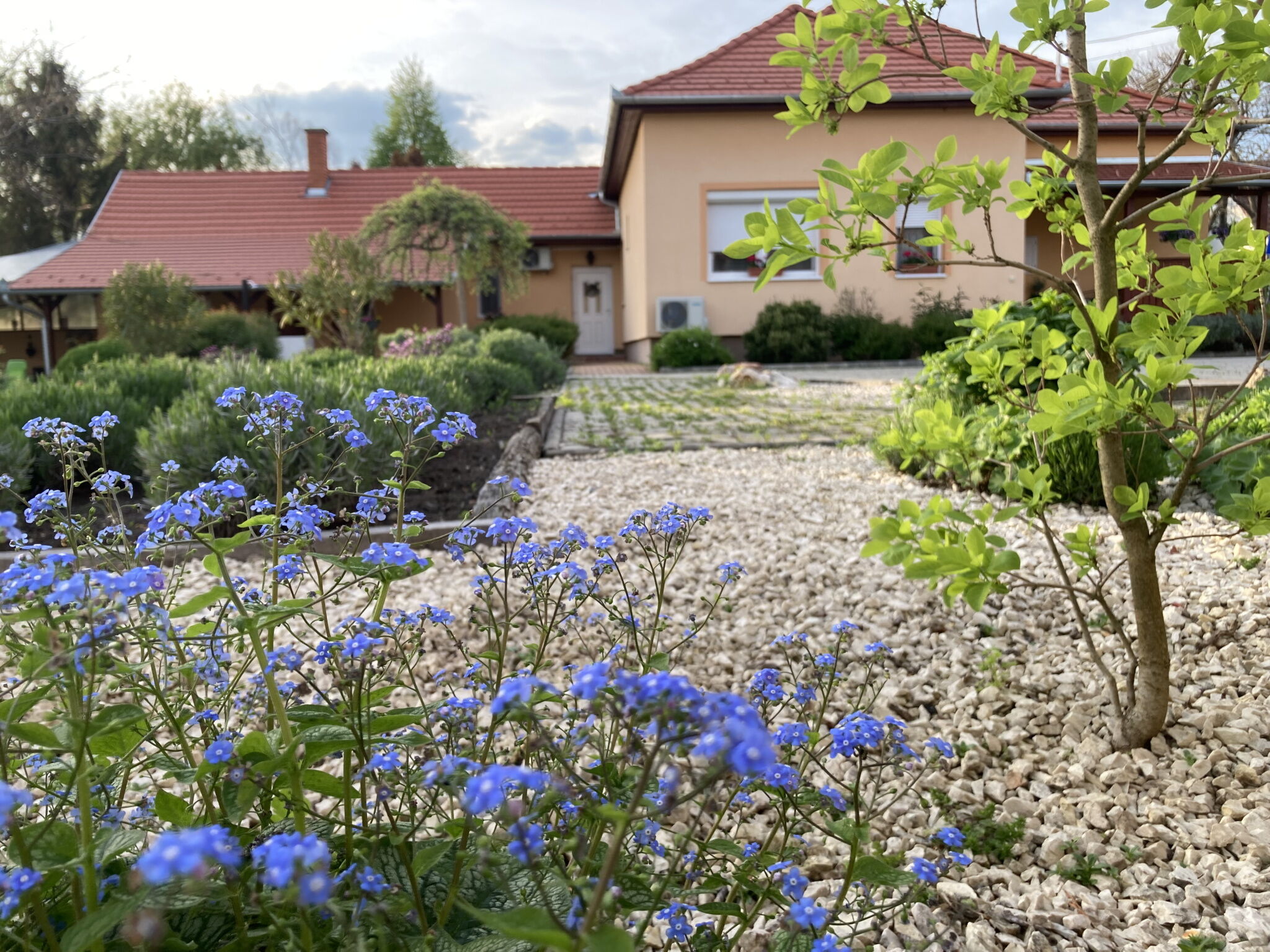 Levendula Apartmanház – Gyomaendrőd fotó 18