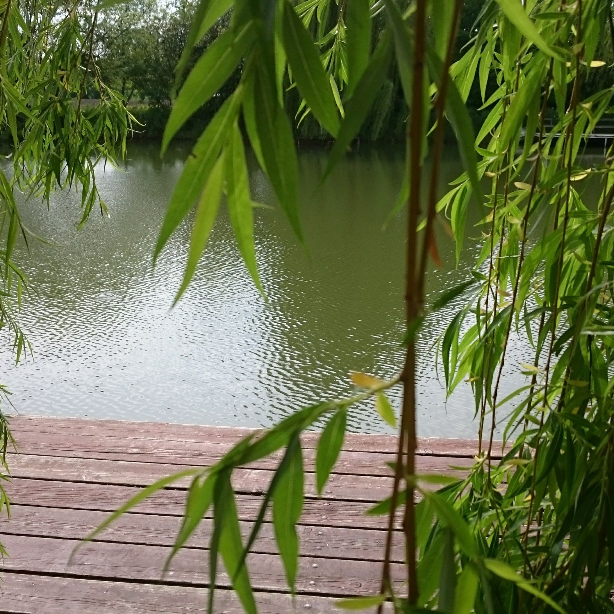 Levendula Apartmanház – Gyomaendrőd fotó 4