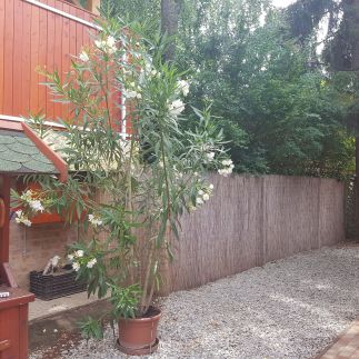 Muskátli Apartman 2.12