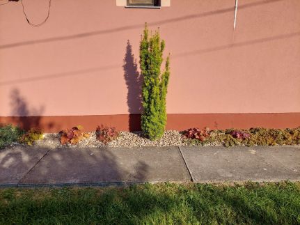 Bodza Apartman7