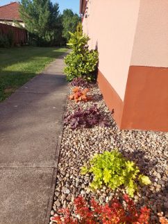 Bodza Apartman11