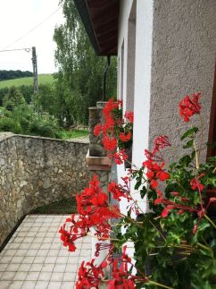 Tópart Vendégház42