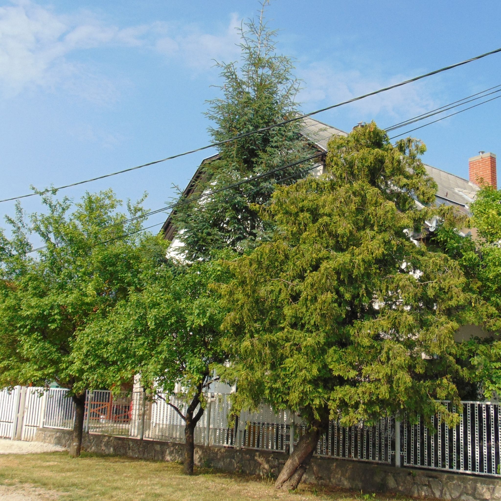 Csokonai Apartman – Gyenesdiás fotó 1