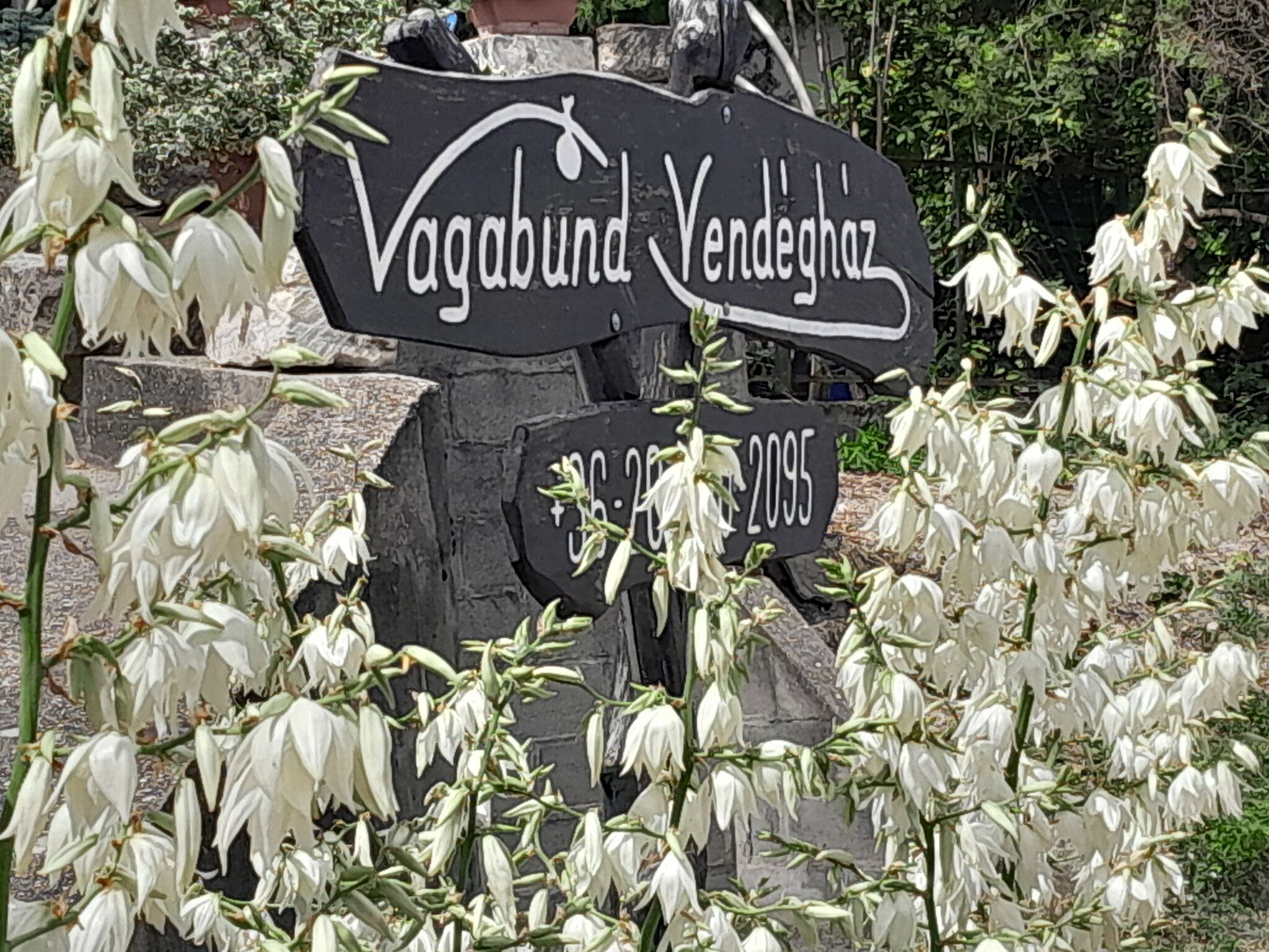 Vagabund Vendégház – Etyek
