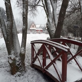 Fűzfa Vendégház5