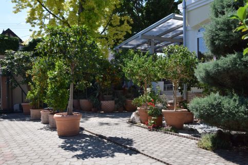 Sipos Villa9