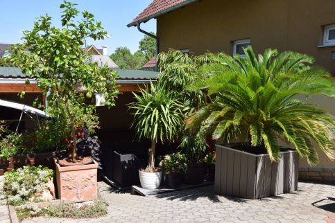 Sipos Villa10